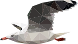 img-gull